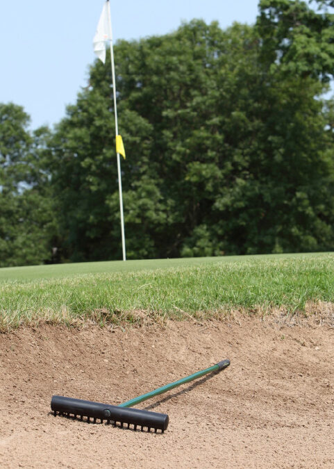 Miltona elite bunker rake